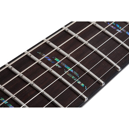 C-1 Silver Mountain - Toxic Venom Schecter