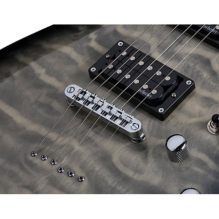 C-6 Plus - Charcoal Burst Schecter