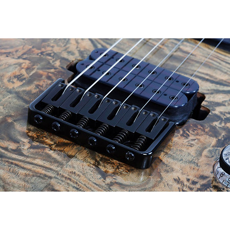 Omen Elite 6 - Charcoal Schecter