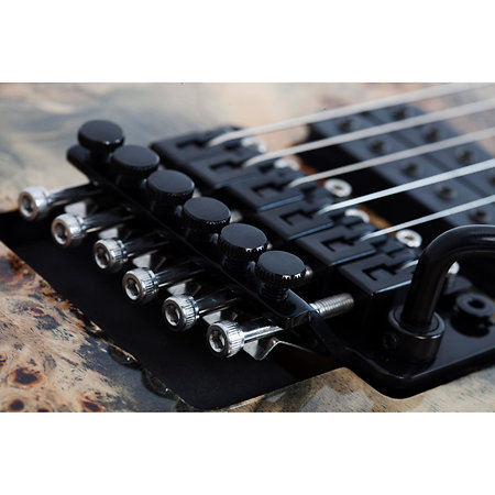 C-6 Pro Floyd - Charcoal Burst Schecter