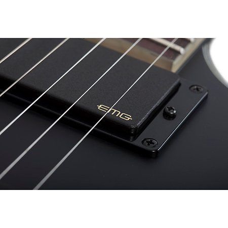 Damien Platinum, Floyd - Satin Black Schecter