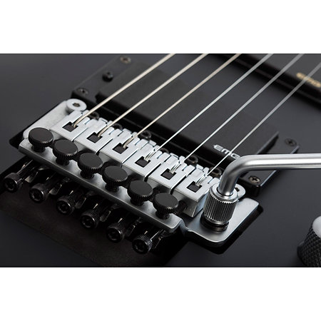 Damien Platinum, Floyd - Satin Black Schecter