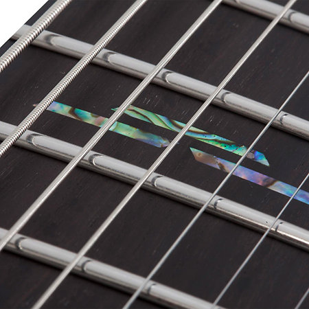 C-7 Multi-Scale Silver Mountain - Toxic Venom Schecter