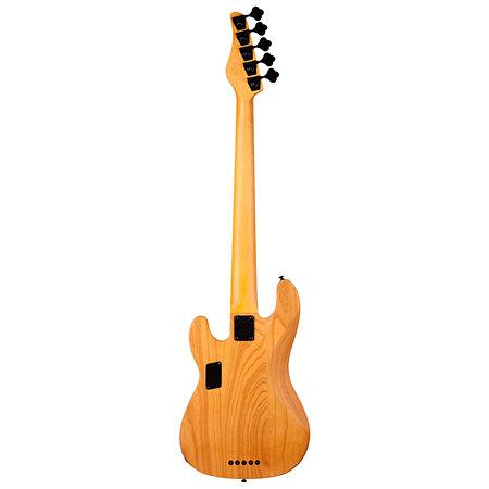 Model T Session 5 - Aged Natural Satin Schecter