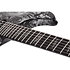 C-1 Silver Mountain - Silver Mountain Schecter