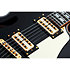 Coupé - Black Schecter