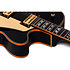 Coupé - Black Schecter