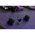 Banshee GT Floyd Rose - Trans Purple Schecter
