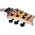 C-1 Floyd Rose SLS Elite - Antique Fade Burst Schecter