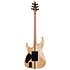 C-1 Floyd Rose SLS Elite - Antique Fade Burst Schecter