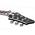 Damien Platinum, Floyd - Satin Black Schecter