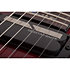 Hellraiser C-1 Floyd, Sustainiac - Black Cherry Schecter