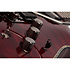 Hellraiser C-1 Floyd, Sustainiac - Black Cherry Schecter