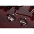 Hellraiser C-1 Floyd, Sustainiac - Black Cherry Schecter