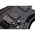 Hellraiser C-1 Hybrid Floyd - Trans Black Burst Schecter