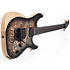 Reaper 6 Floyd Rose - Charcoal Burst Schecter