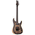 Reaper 6 Floyd Rose, micro Sustainiac - Charcoal Burst Schecter