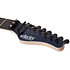 Sun Valley Super Shredder FR-S, Floyd Rose, micro Sustainiac - Blue Reign Schecter