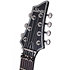 Hellraiser C-7 Floyd - Black Schecter