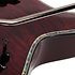 Hellraiser C-7 Floyd, Sustainiac - Black Cherry Schecter