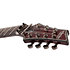 Hellraiser C-7 Floyd, Sustainiac - Black Cherry Schecter