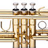 WS-TR255S - Trompette en Ut (Do) Stagg