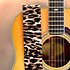 Puresound Jaguar Mega-hertz