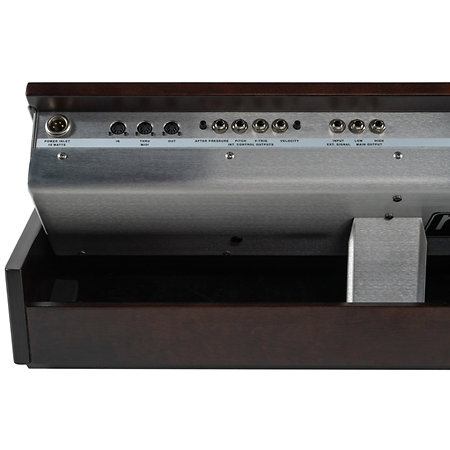 Minimoog Model D 2022 Edition Moog