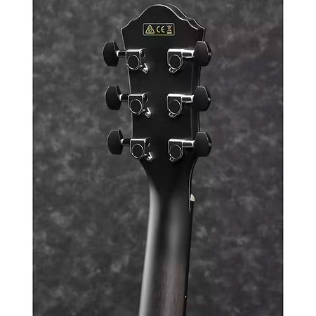 Ibanez AEWC400-TKS