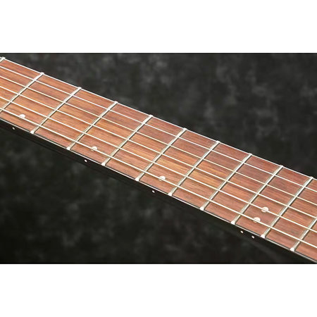 AEWC400-TKS Ibanez