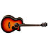 Winterleaf TW7 Tanglewood