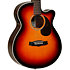 Winterleaf TW7 Tanglewood