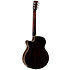 Winterleaf TW7 Tanglewood