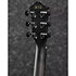 AEWC400-TKS Ibanez