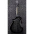 AEWC400-TKS Ibanez