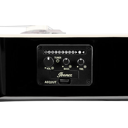 UICT100 MGS Ibanez