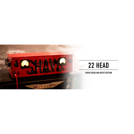 22-HEAD UK Custom Shop Signature Shavo Odadjian Ashdown