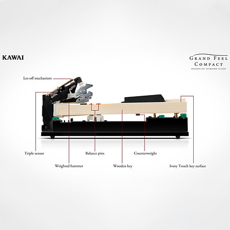 Kawai CA59 White