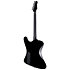 PHX-1000 QM Deluxe Phoenix See Thru Black Sunburst LTD