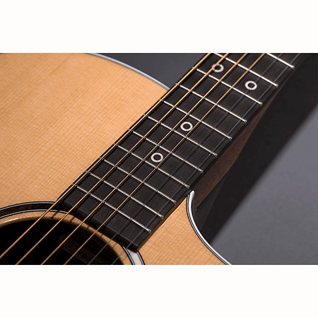 SC-13E Special + Housse Martin Guitars