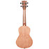 KA-20C Burled Meranti Concert Kala