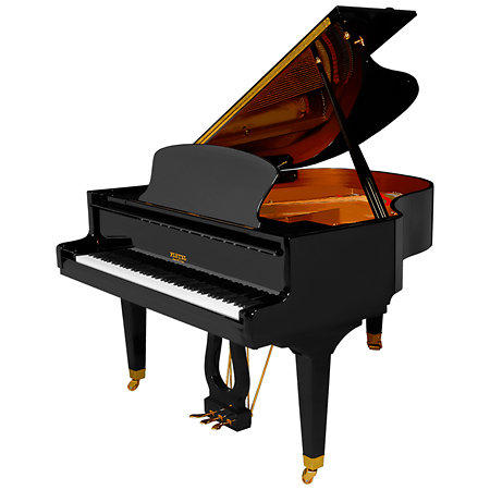 P 170 Black Pleyel