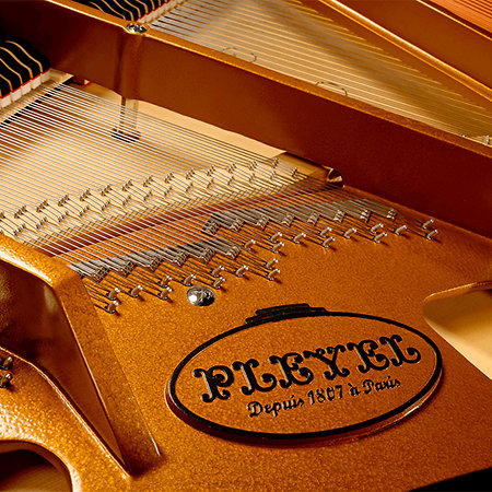 P 170 Black Pleyel