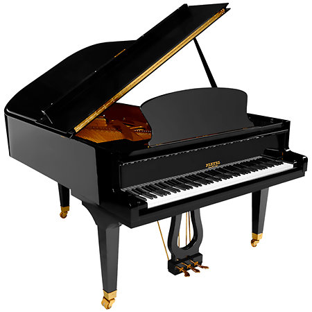 P 190 Black Pleyel