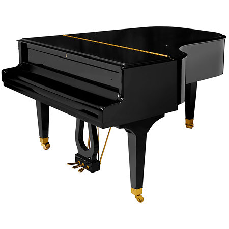 P 190 Black Pleyel