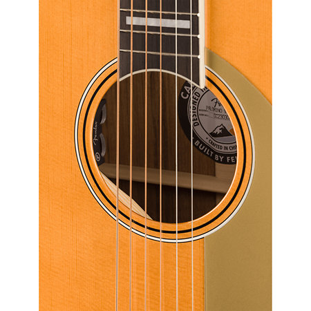 Palomino Vintage, Aged Natural + Etui Fender