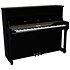 P 120 Black Pleyel