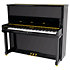 P 131 Black Pleyel