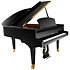 P 170 Black Pleyel