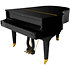 P 170 Black Pleyel